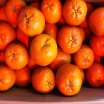 水果禮盒|網購柑橘|團購柑橘|非當季水果|約10斤