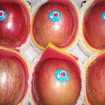 水果禮盒|網購蘋果|團購蘋果|禮盒約8入